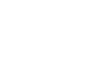 Evolution games at Spin Bit Casino